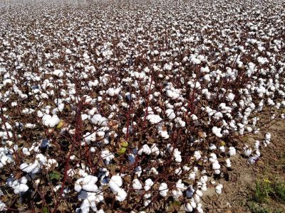 River Oaks Care Center Photo