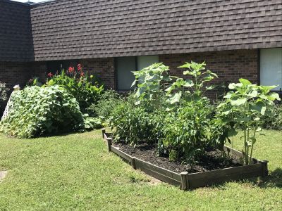 River Oaks Care Center Photo